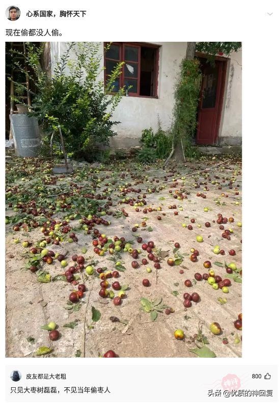 俄罗斯女朋友需要注意什么,交俄罗斯女朋友需要什么条件