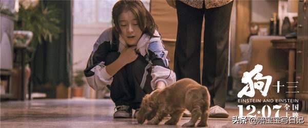 孩子被狗咬伤了该怎么办,孩子被狗咬伤要怎么办