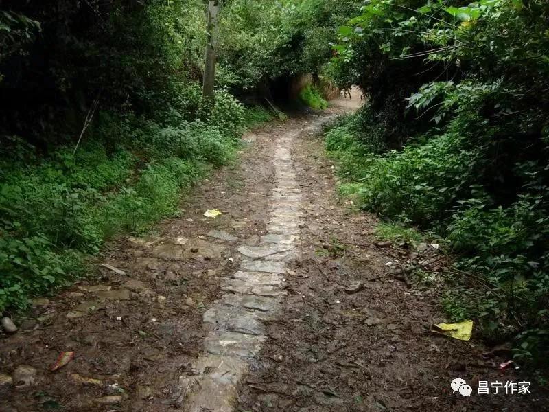 遗落在草原上的历史遗痕,历史长河中留下的古道痕迹