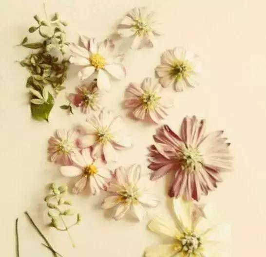 情人节收到的花别扔,情人节花别丢