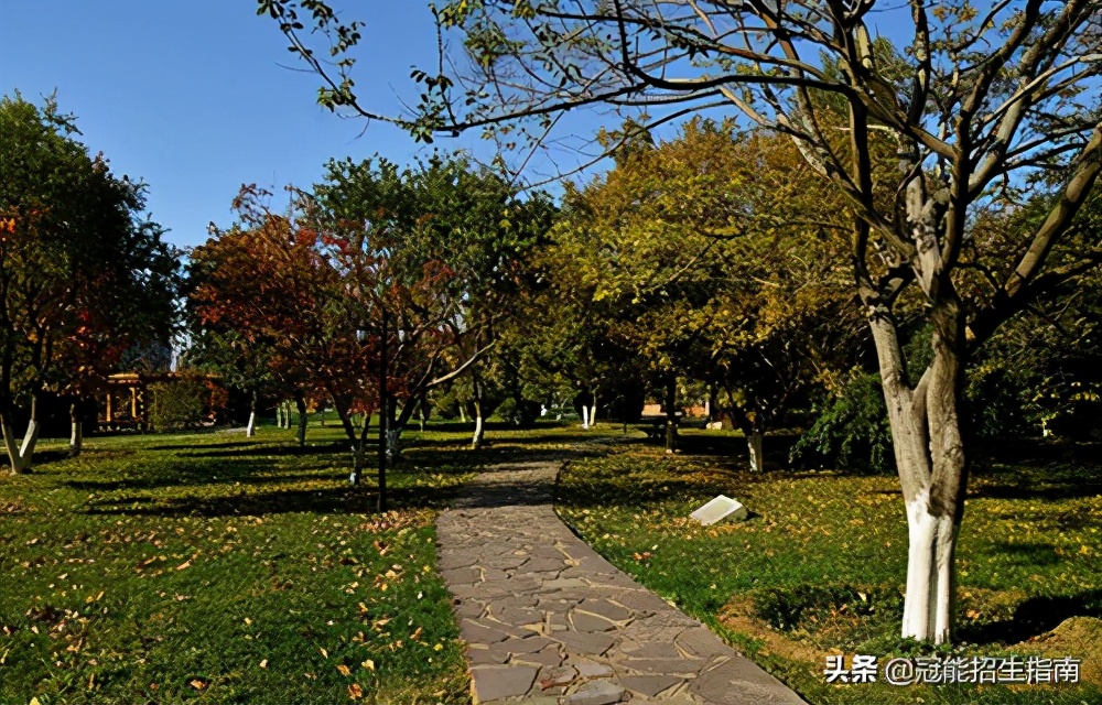 大专医学检验技术就业前景,医学检验技术大专就业真实现状