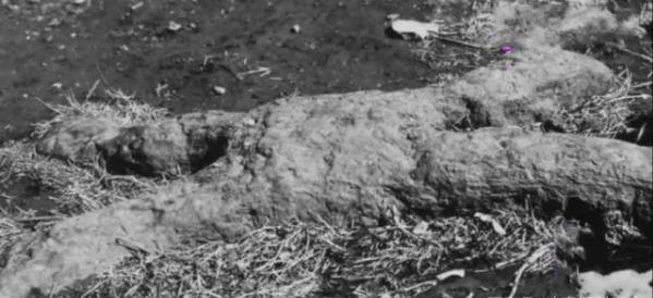 秦淮河中打捞飞来之物,秦淮河打捞失踪100年的文物