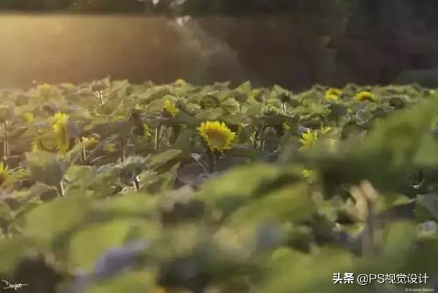 日常照片后期一定要用ps吗,摄影后期修图用ps什么版本