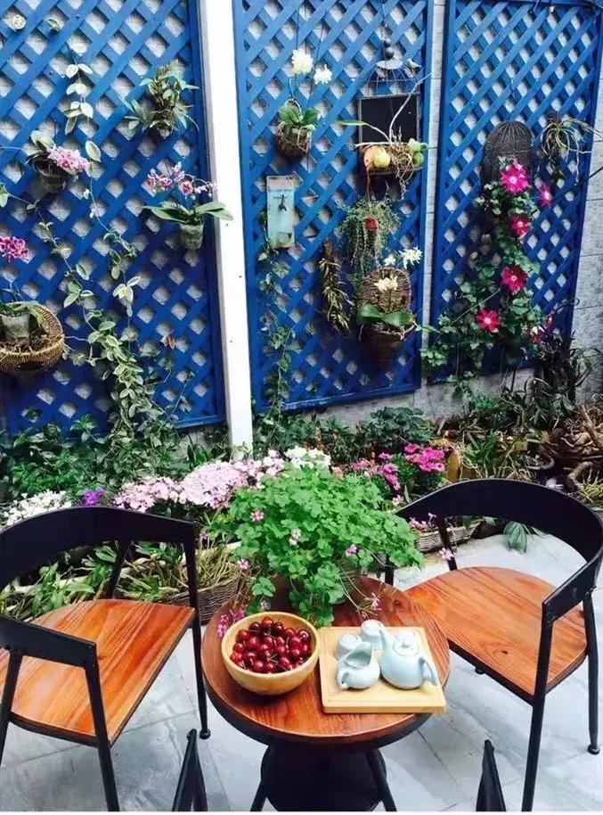 自己种菜省钱方便,自己种菜又方便又放心