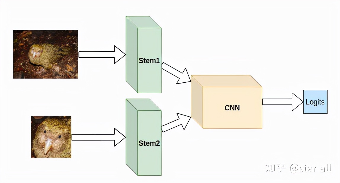 如何讲解模型,模型先验符号怎么确定