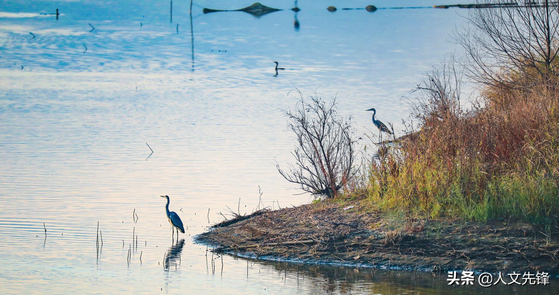 大同有几个国家级开发区,大同5a级旅游景点有哪些