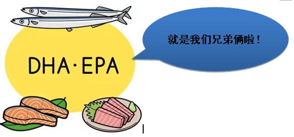 吃深海鱼油降血脂还会反弹吗,深海鱼油降胆固醇靠谱吗