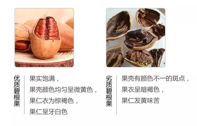 电视台曝光！这种坚果过年别买，这里教你如何选购？