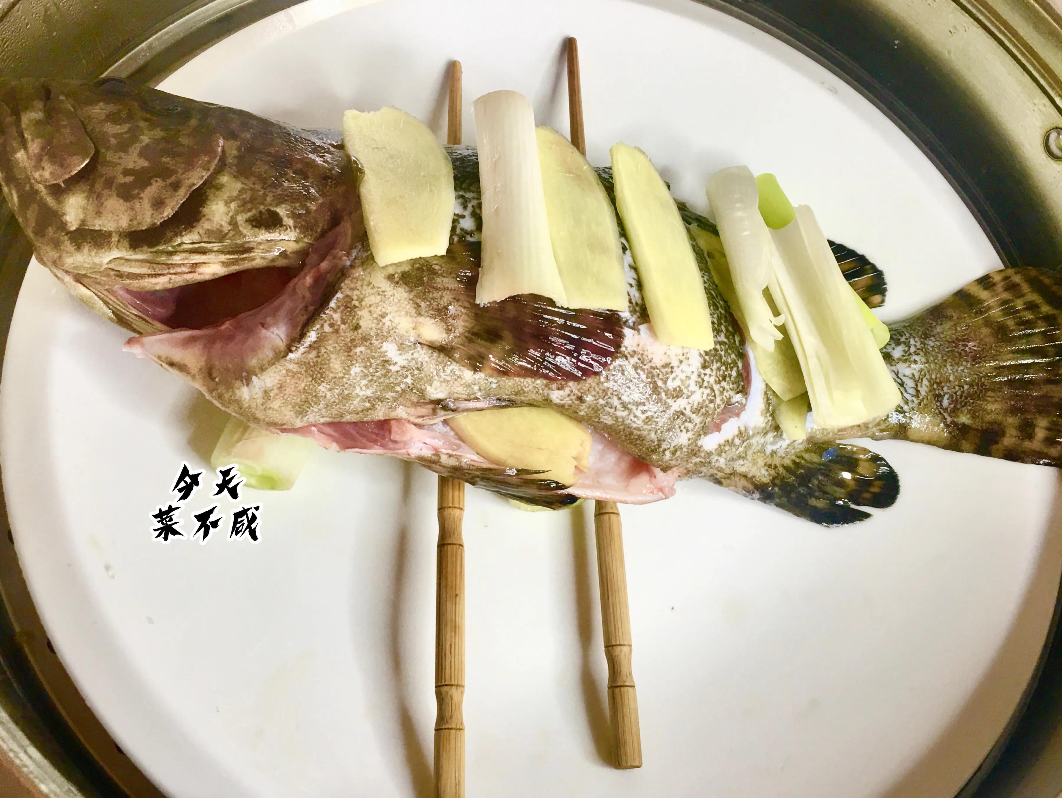 石斑鱼先倒蒸鱼豉油还是先泼油,清蒸鱼石斑鱼放什么调料