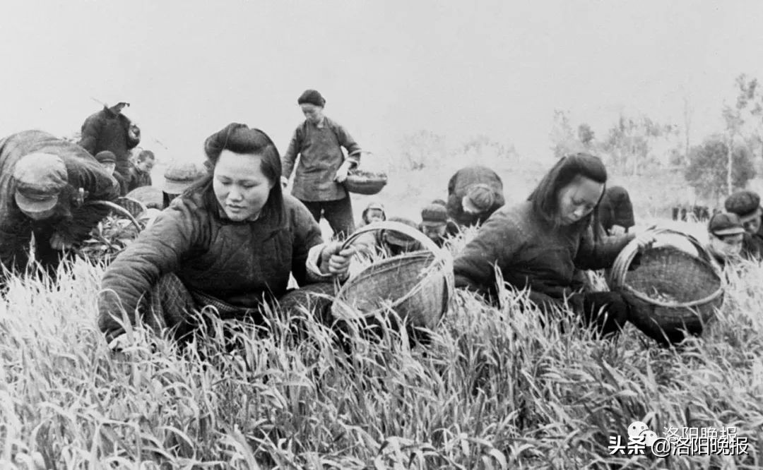 一分钟看河南洛阳,一日看遍洛阳