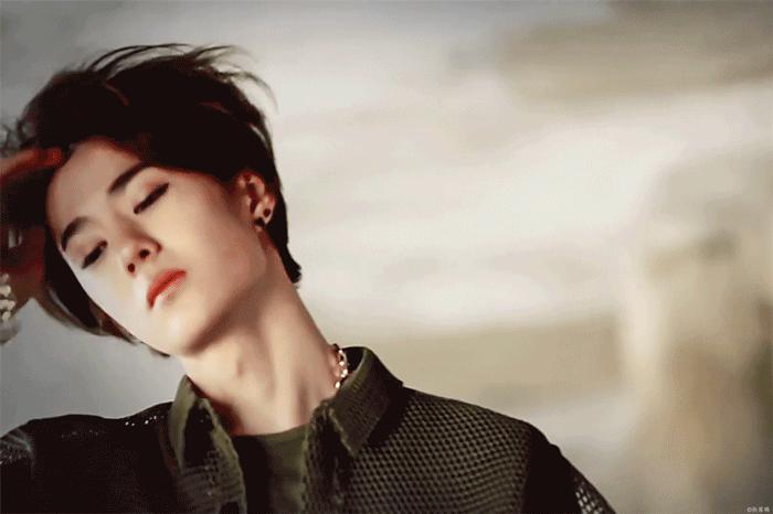 最黑的牡丹黑豹,最黑牡丹黑豹