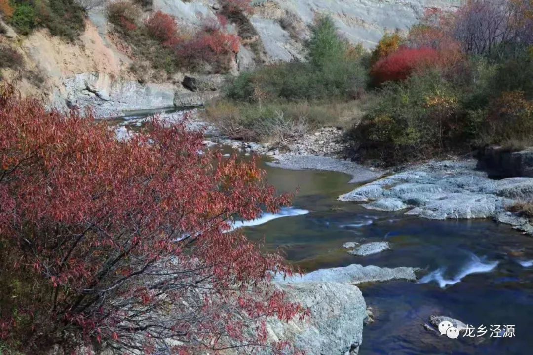 泾源秋天美景图片,泾源最美景色