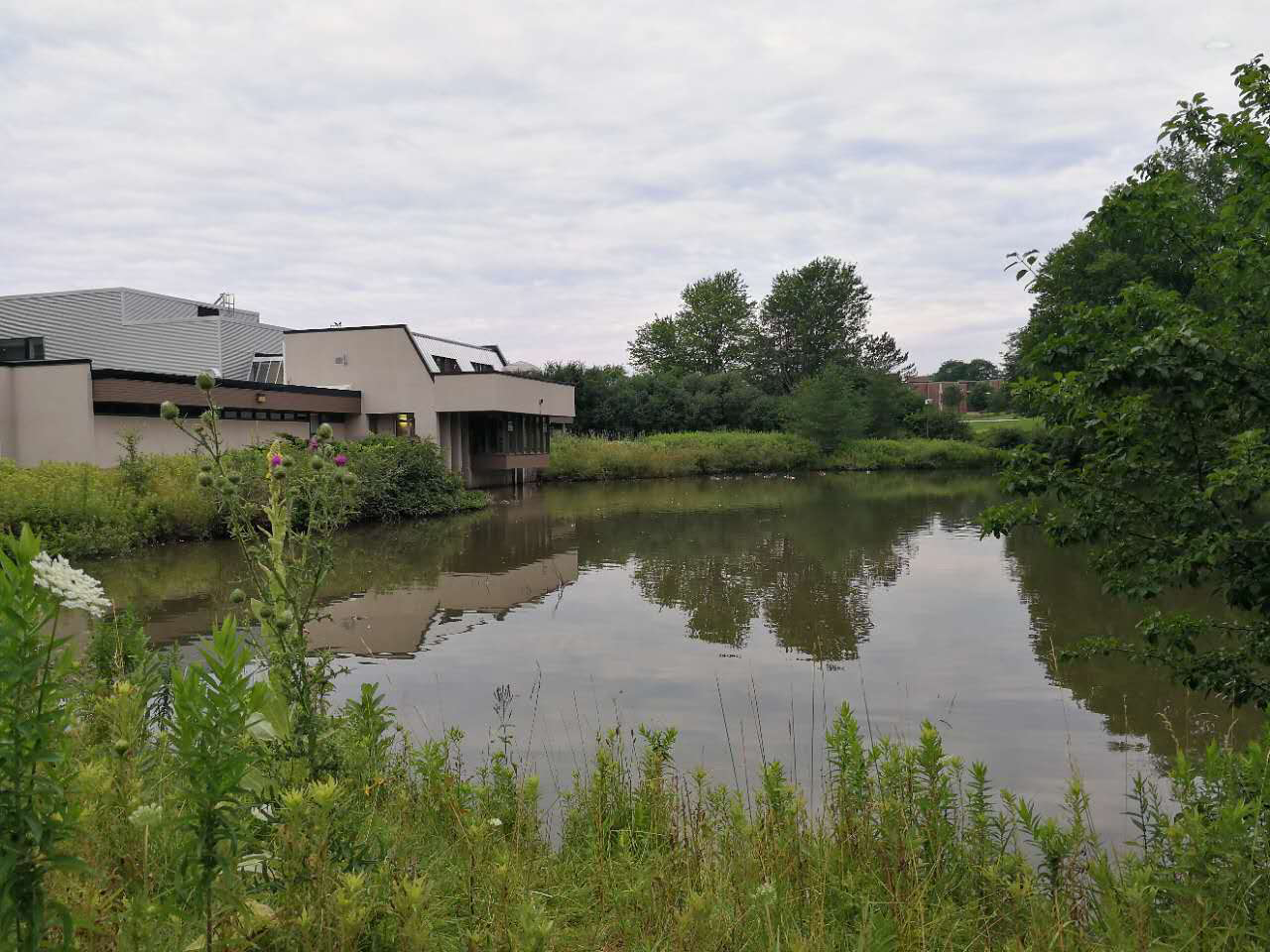 最真实的加拿大留学生活,加拿大留学的20大忠告