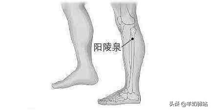 人体十大养生穴位，常按想生病都难