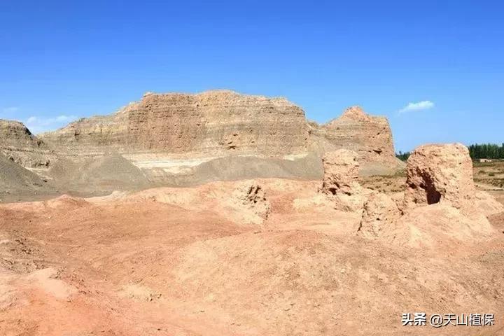 新疆的图木舒克市在什么位置,新疆的图木舒克是在北疆还是南疆