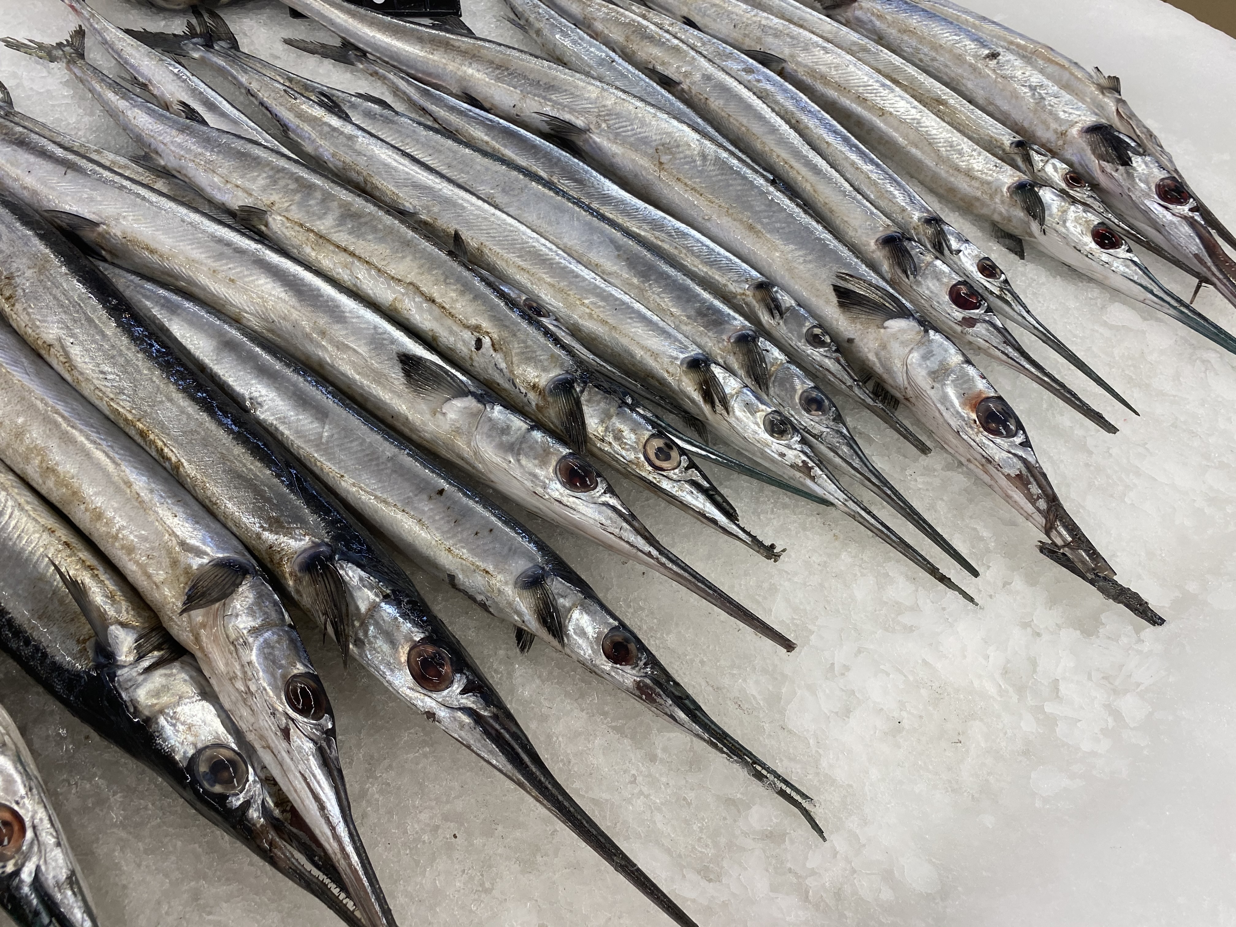 价格便宜的小海鲜有哪些,哪种海鲜最便宜又好吃