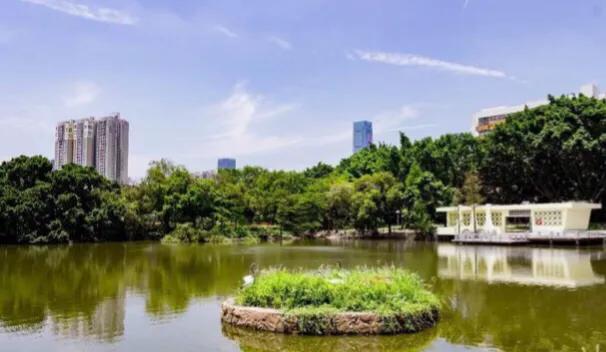 深圳花海景区推荐图片大全,深圳哪里有大片花海