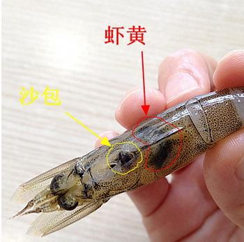 爱吃虾人士的美食食谱,爱吃虾的人怎么挑虾尾呢