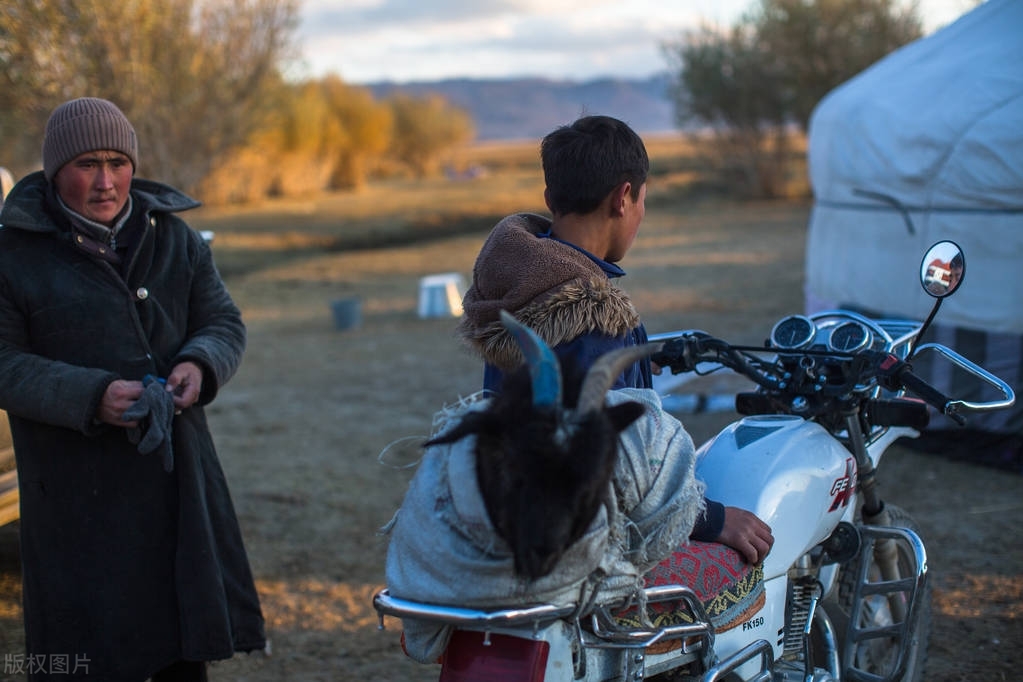 蒙古国家穷不穷,蒙古真的很穷吗