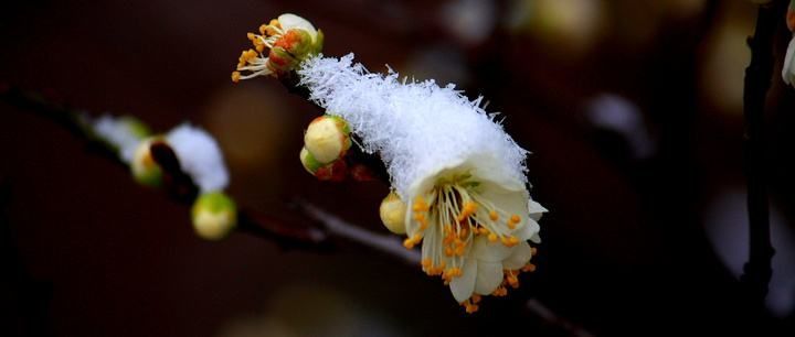 秋韵温柔岁月，冬情惊艳时光