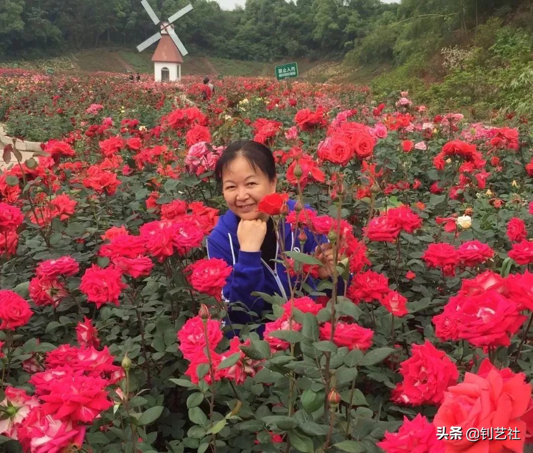 大妈旅游拍照姿势大全高级感,中国大妈旅游团拍照