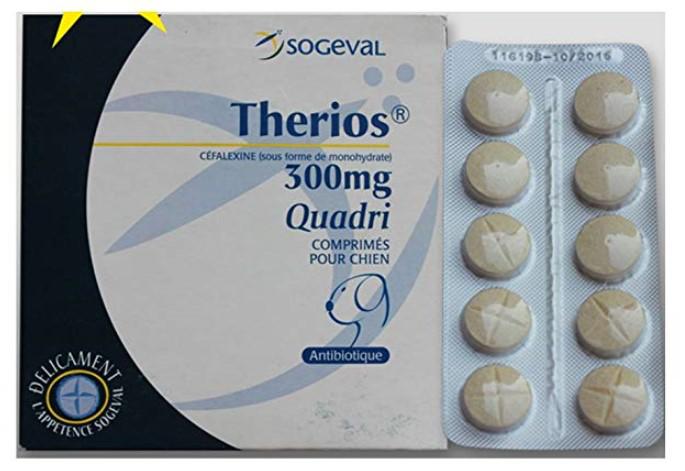 宠物消炎药有哪些,莫比新宠物消炎药