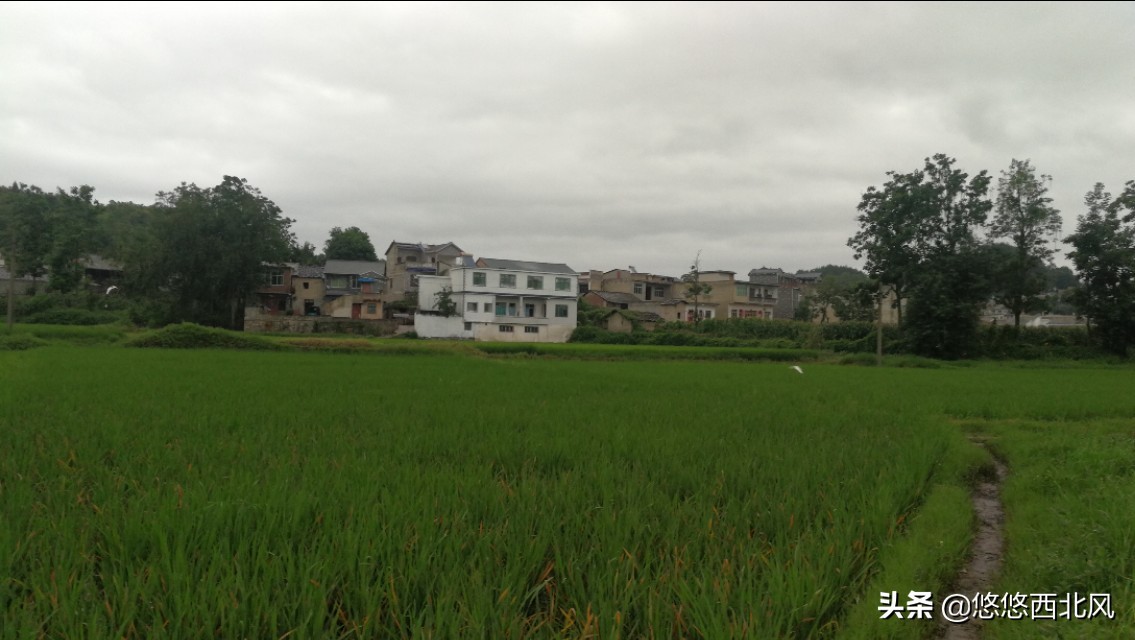 贵州行影像,贵州之旅day1