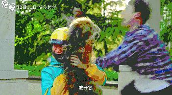 流浪狗狗遇到爱它的主人,流浪狗需要被疼爱