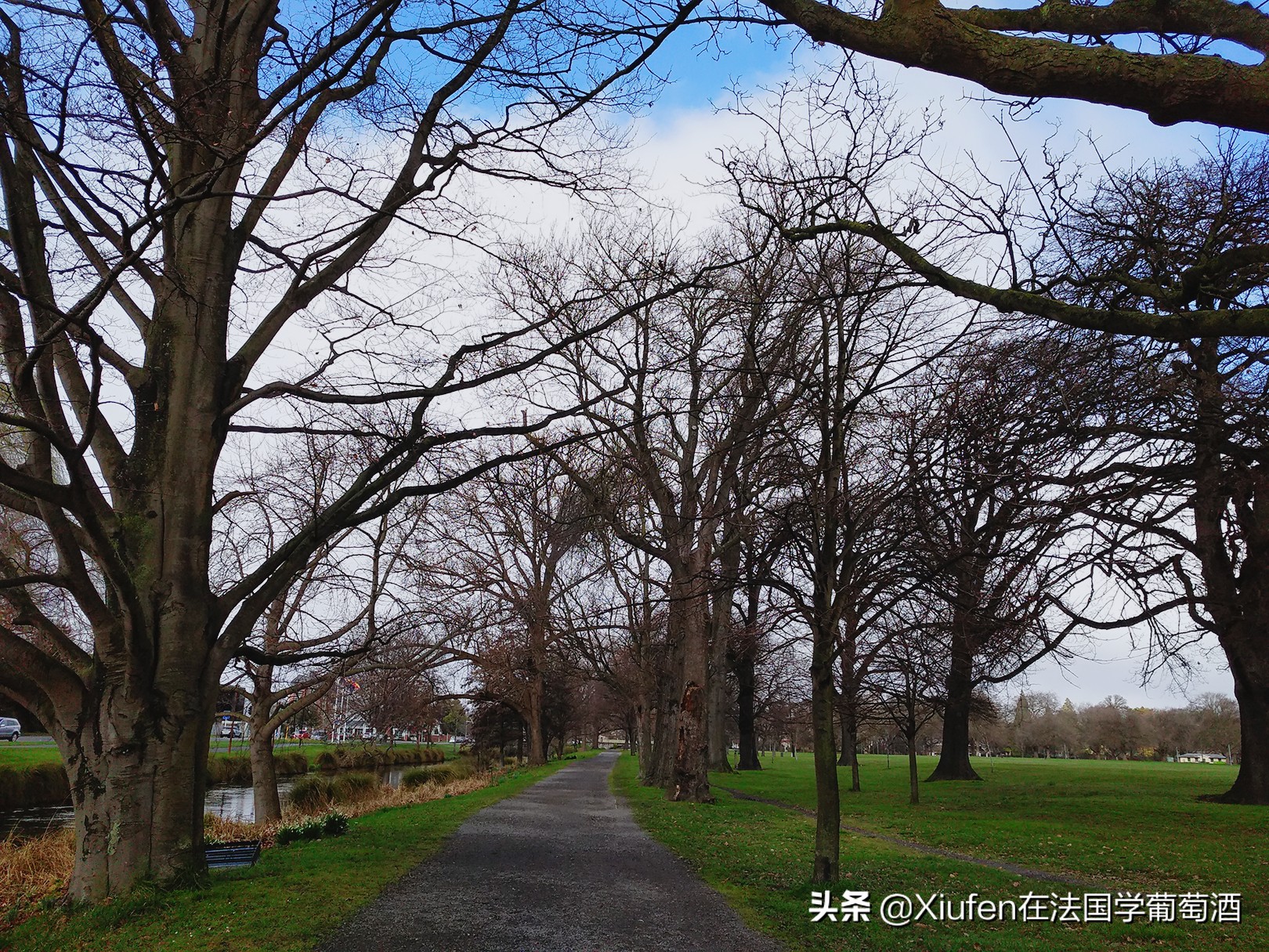 新西兰基督城城市风景,新西兰基督城风景漫步