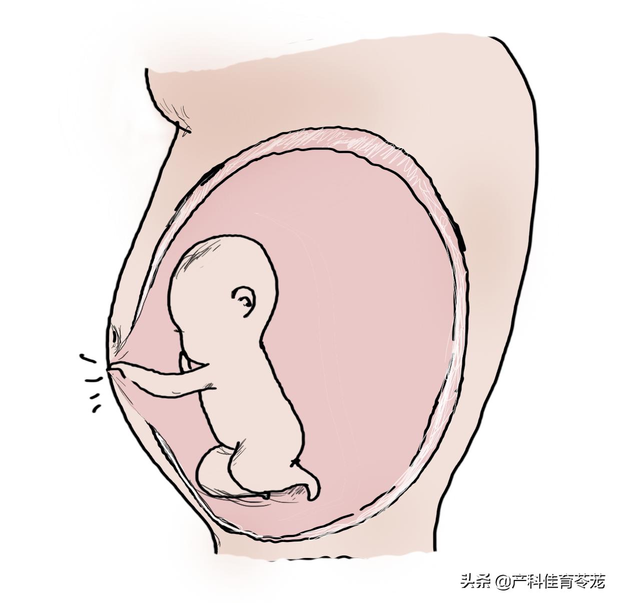 出生真的决定命运,出生时辰注定姻缘好坏