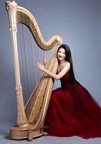 冷门却很惊艳的乐器,十大最有气质的乐器适合女生