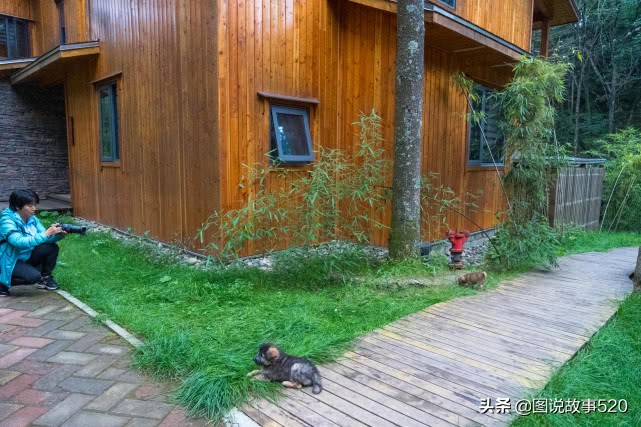 洛阳白云山山顶小木屋价格,洛阳白云山森林小木屋