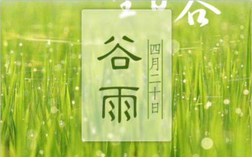 春夏之交讲“谷雨”