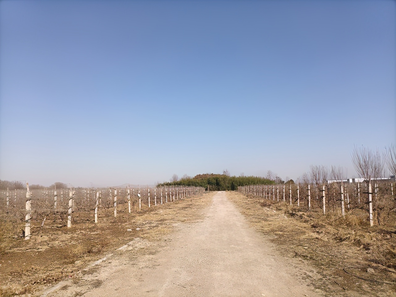 濮滃瓙鐗欏巻鍙蹭笂鐪熷疄瀛樺湪,濮滃瓙鐗欒韩涓婄殑璋滃洟