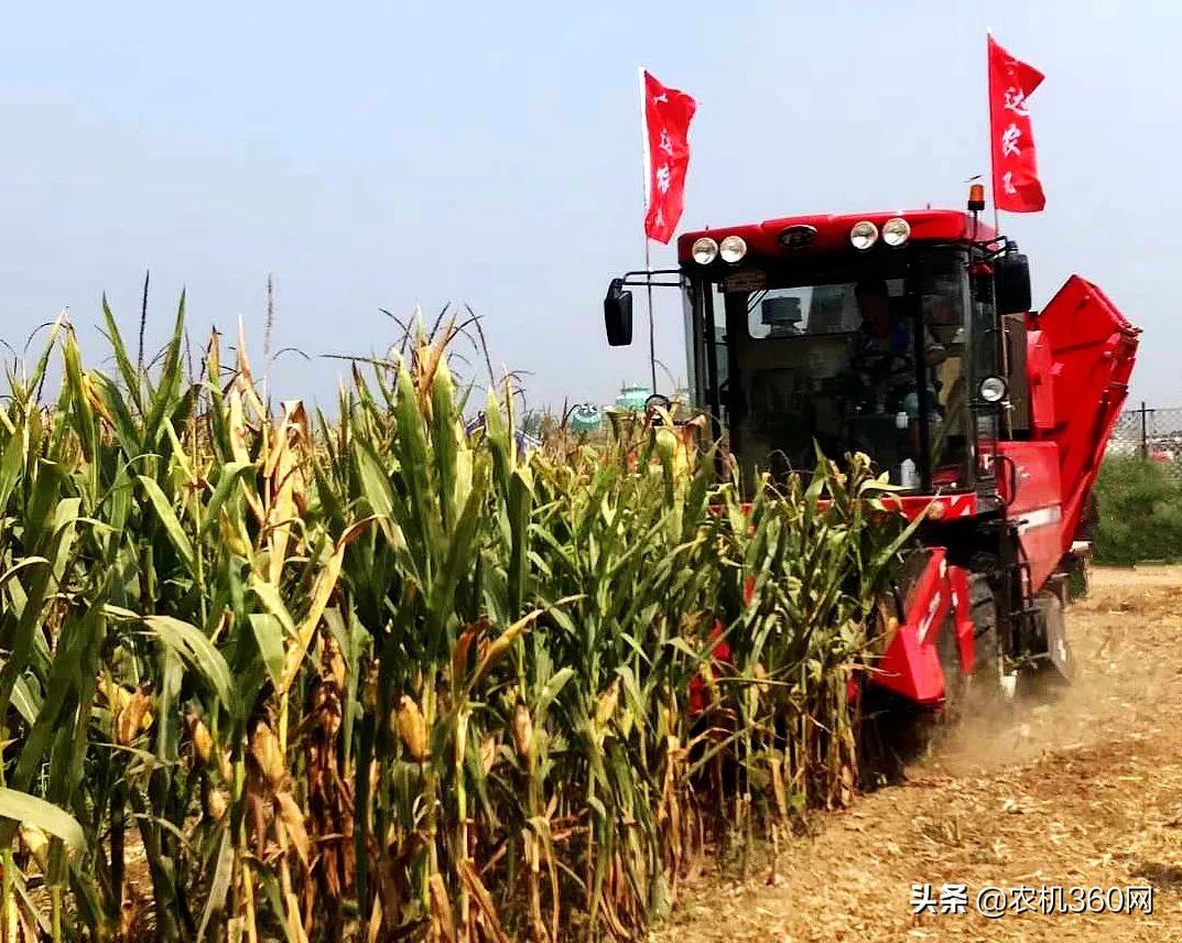 2020款东方红收割玉米机图片大全,东方红新款玉米机