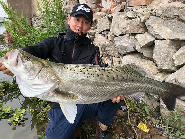 路亚钓鱼技巧新入门,路亚钓鱼进阶指南