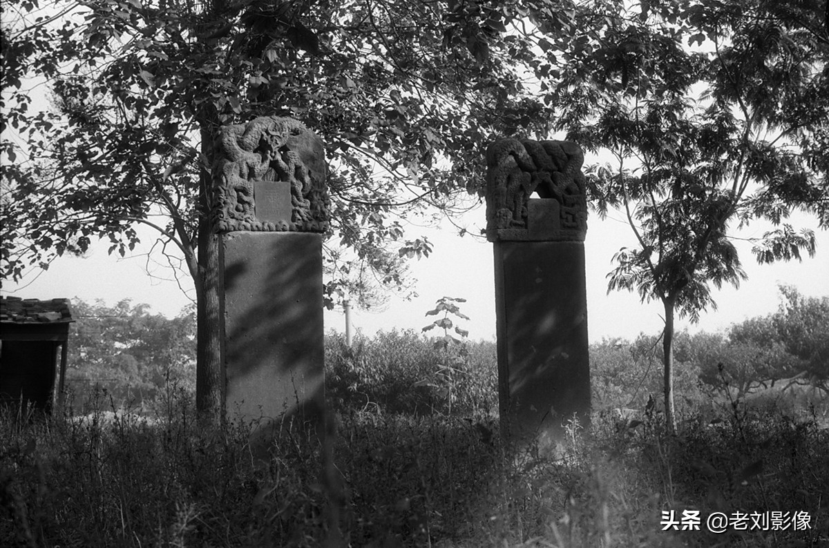 保定一亩泉泉眼在哪里,保定一亩泉消失的秘密