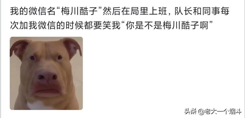 网名被家人叫出来有多尴尬，哈哈哈，大型社死现场