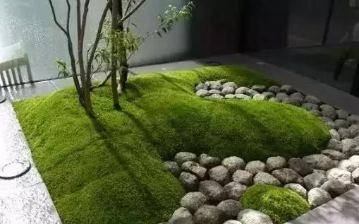 禅意庭院一定要用苔藓吗,禅意苔藓微景观制作视频