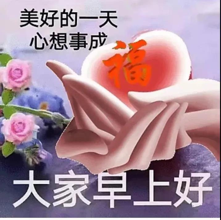 周一早安问候表情包,周末早上好表情包带字问候