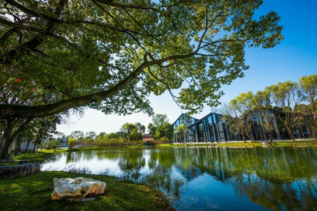 左右先生店,左右先生视频