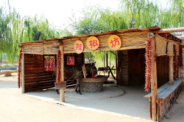 东北风情真实情况,最真实的东北风情