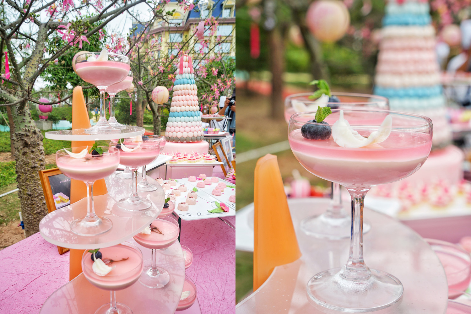 广州粉色浪漫花海,广东秋天粉色花海