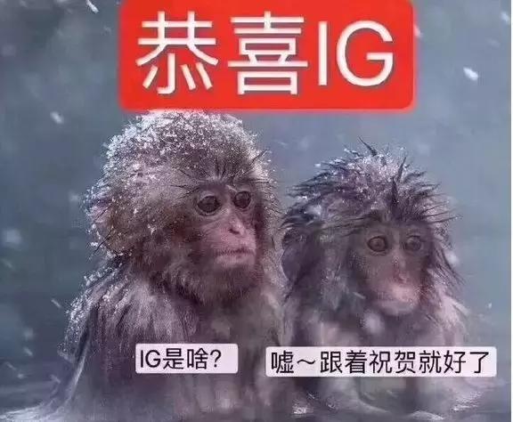 王思聪连花清瘟胶囊热搜,最近王思聪上热搜的视频