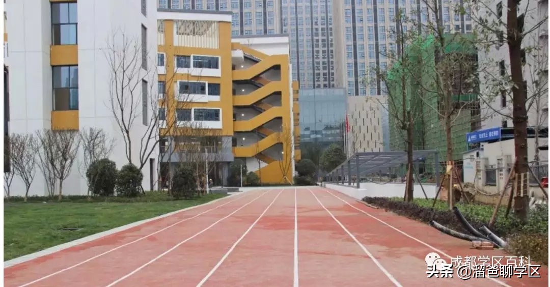 大源片区小学排名,高新区大源片区学校排名