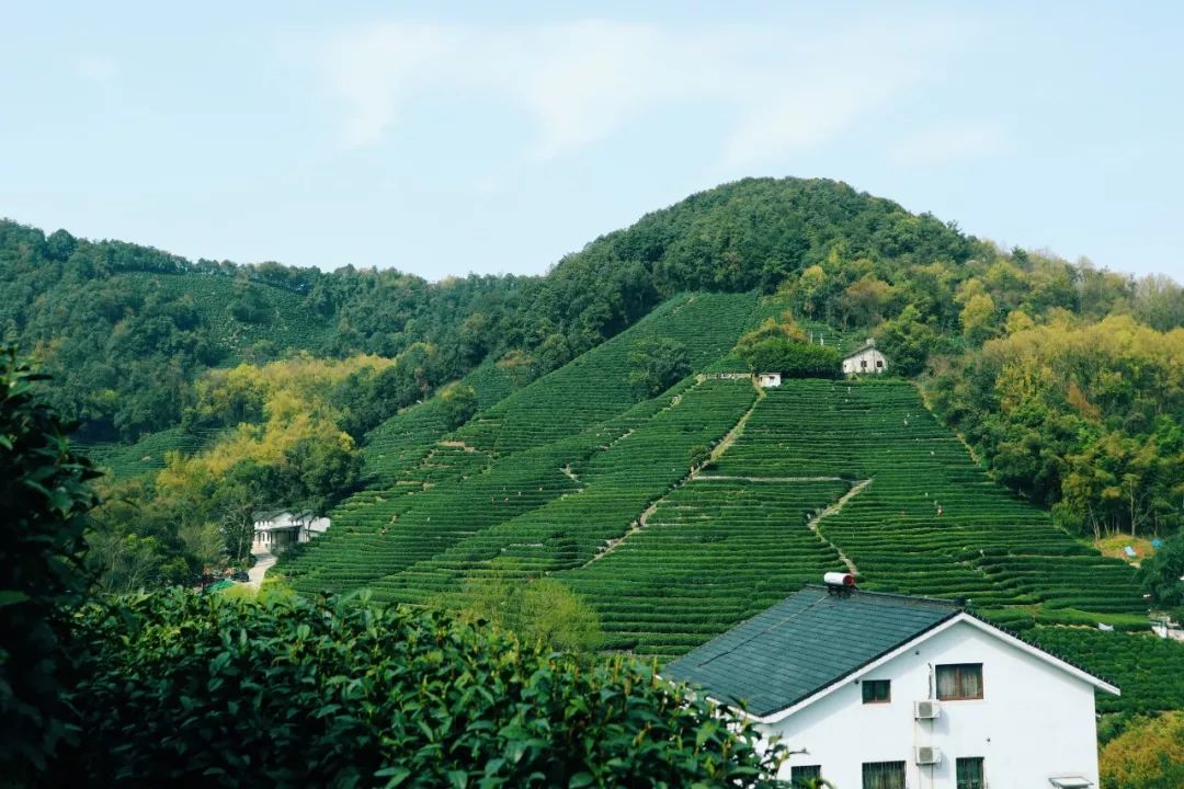 亲测旅游攻略,旅游团游西湖攻略线路地图