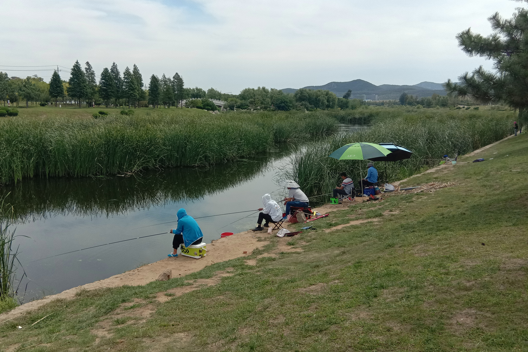 什么香精气味诱鱼最好,什么化学剂诱鱼最强