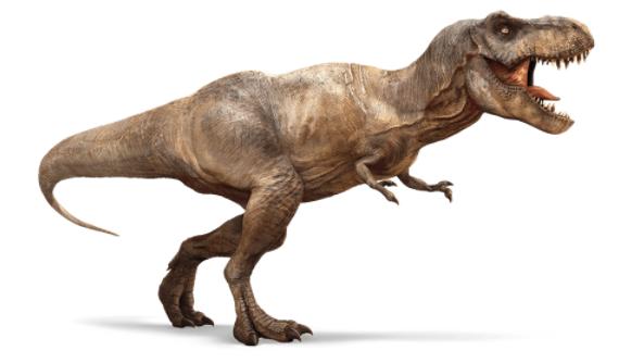 十大肉食性恐龙排名,肉食性恐龙吃什么