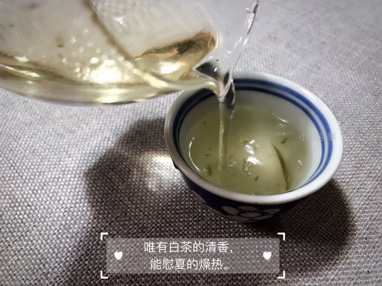 绿茶红茶白茶黑茶适合什么季节喝,普洱茶属于黑茶红茶还是绿茶黄茶