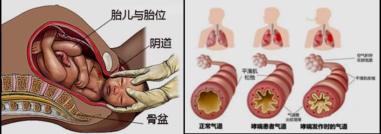 执业药师西药镇痛药,有效镇痛药